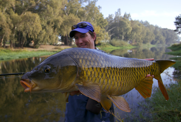 Bergriver carp below Spilo small