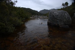 After: Dean Riphagen’s photographs (above) taken in October 2014 showing the Paradise Valley pool. The water temperature had been substantially raised because of the restricted flow. The historic water line can be seen on the big rock to the right of the photograph. Before the flow was taken away the small rock in the middle of the photograph was submerged